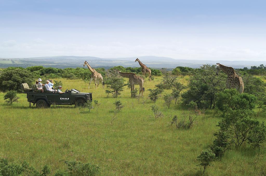 Kariega Game Reserve River Lodge Kenton on Sea Εξωτερικό φωτογραφία