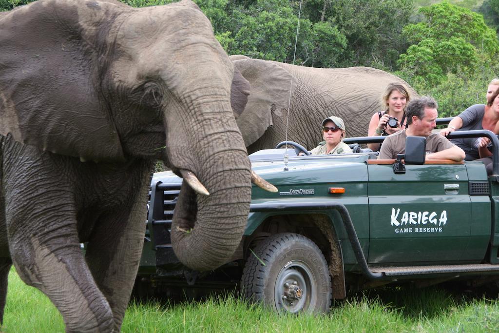 Kariega Game Reserve River Lodge Kenton on Sea Εξωτερικό φωτογραφία