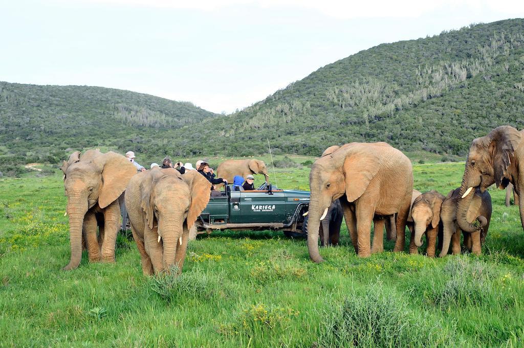 Kariega Game Reserve River Lodge Kenton on Sea Εξωτερικό φωτογραφία