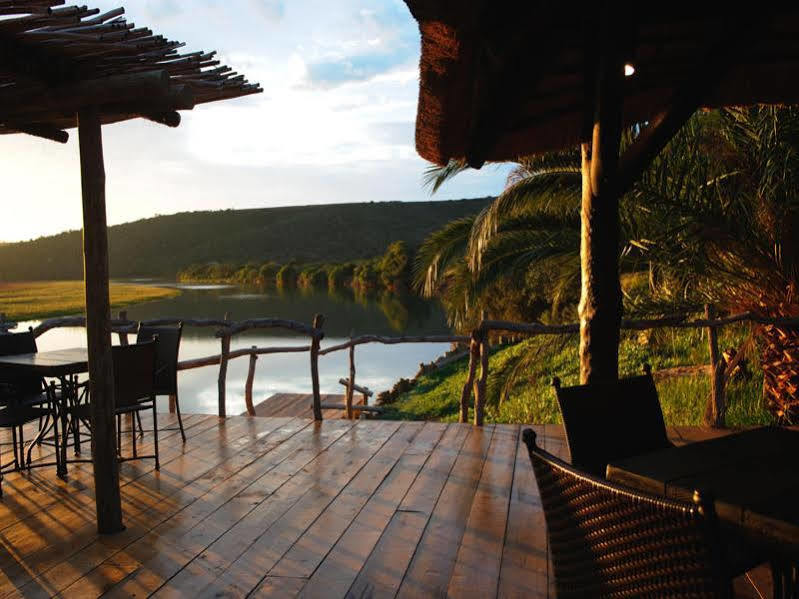 Kariega Game Reserve River Lodge Kenton on Sea Εξωτερικό φωτογραφία