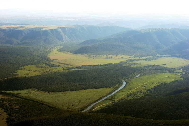 Kariega Game Reserve River Lodge Kenton on Sea Εξωτερικό φωτογραφία